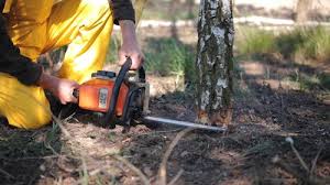 Best Lawn Dethatching  in Bristol, CT